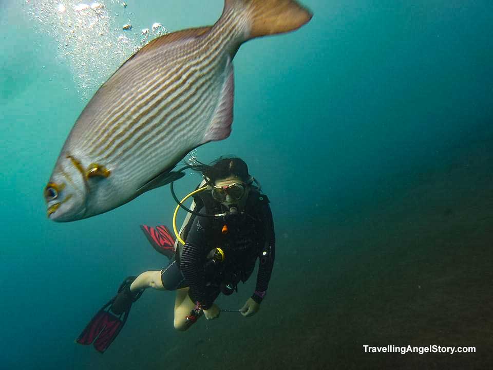 Tulamben, Bali